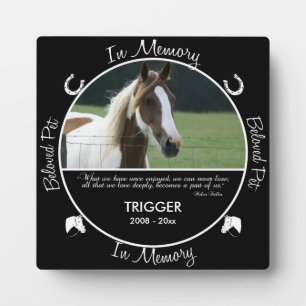 Memorial - Loss of Horse - Custom Photo/Name Plaque