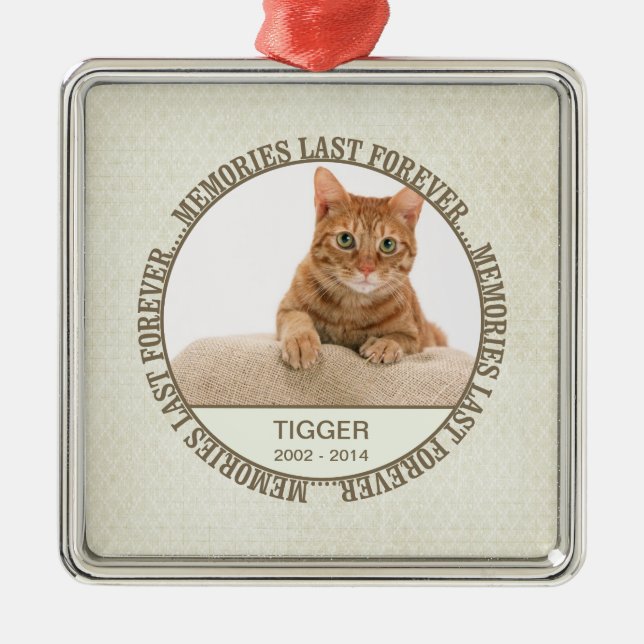 Memorial - Loss of Pet - Custom Photo/Name Metal Ornament (Front)