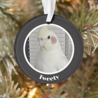 Mémorial personnalisé de cockatiel avec photo 