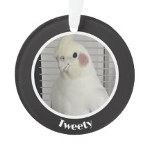 Mémorial personnalisé de cockatiel avec photo