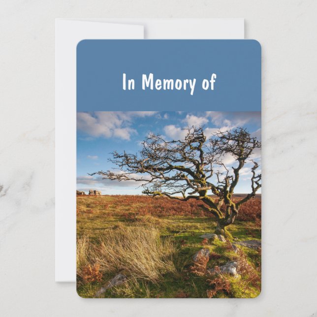 Memorial Service Invite Beautiful Desert Savannah (Front)