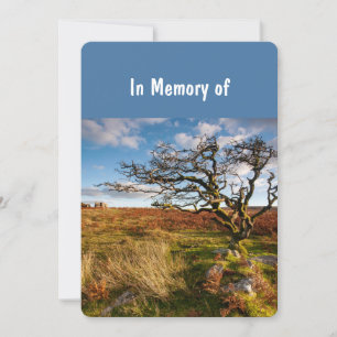 Memorial Service Invite Beautiful Desert Savannah