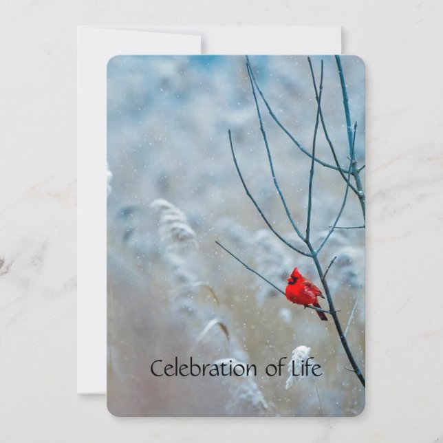 Memorial Service Invite Cardinal Red Bird  (Front)
