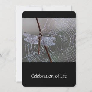 Memorial Service Invite Dragonfly Dewdrops