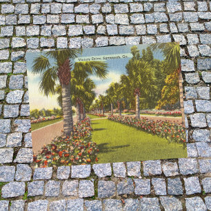 Memorial Victory Drive Palms Savannah GA retro Postcard
