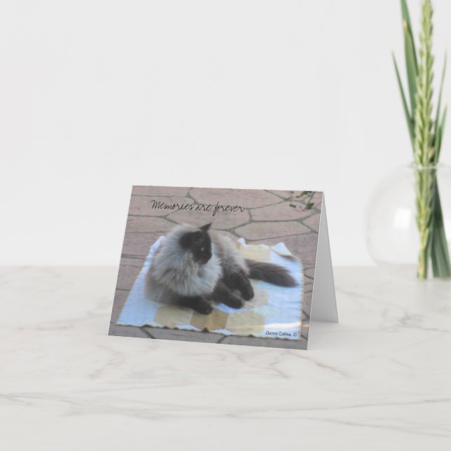 Memories cat note card (Front)