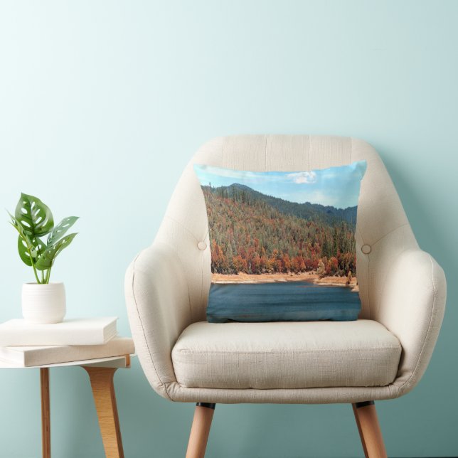 Memories of Ewing Reservoir...... Throw Pillow (Chair)