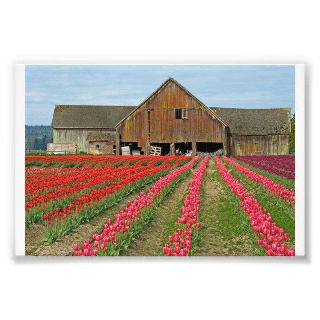 Memories Of Spring. Photo Print (Front)