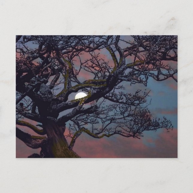 Memory of the Moon Postcard (Front)