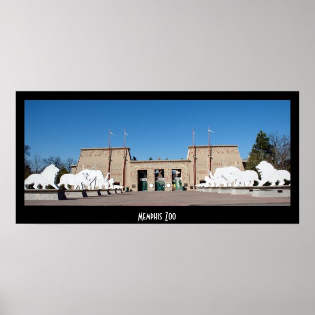 Memphis Zoo Poster (Front)