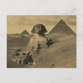 Men and Camels on the Paw of the Sphinx, Pyramids Postcard