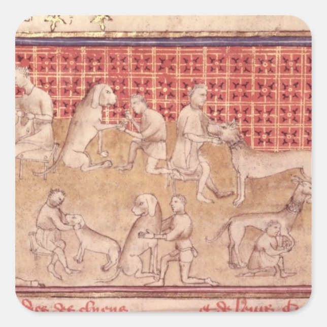 Men caring for hunting dogs square sticker (Front)