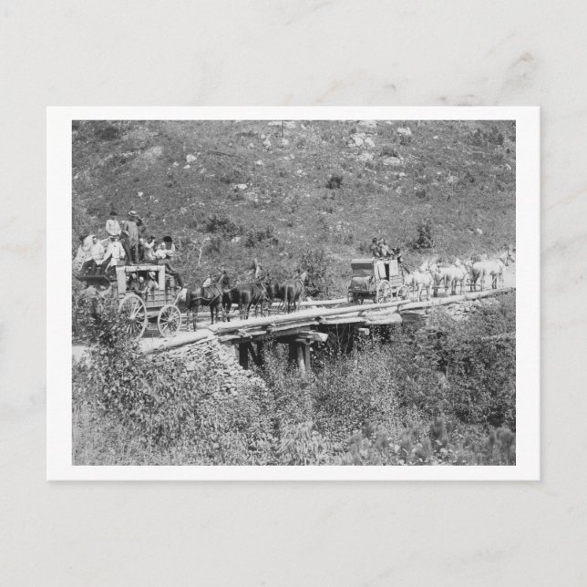 Men on Wagon Wave and Tip Hats to Photographer Postcard (Front)