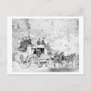 Men Sitting on a "Deadwood Coach" Photograph Postcard