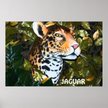 MENACING JAGUAR POSTER