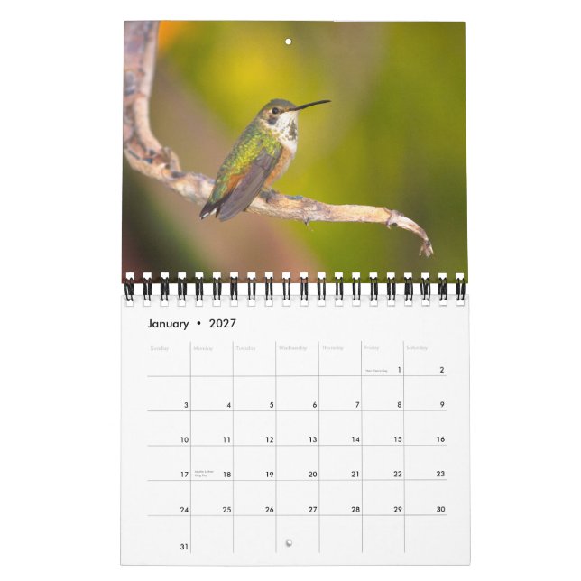 Menagerie Calendar (Jan 2027)