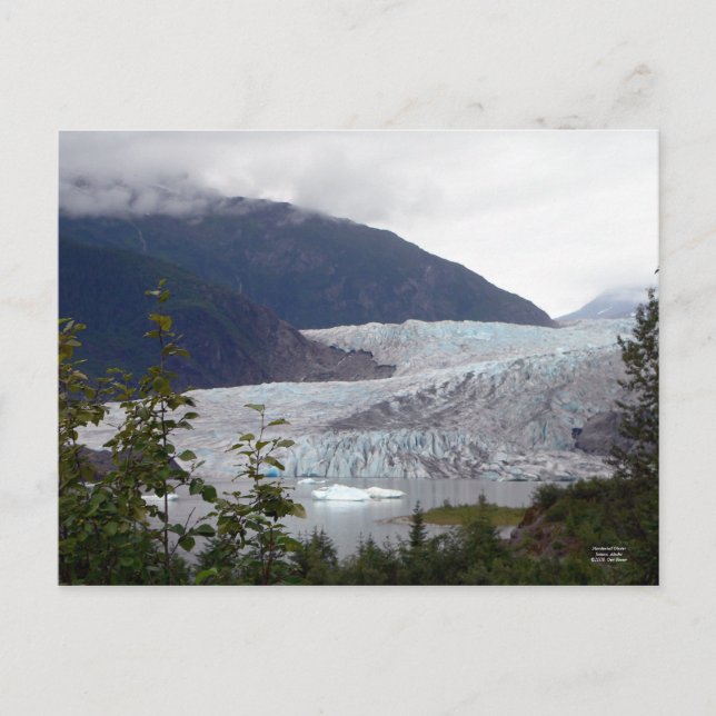 Mendenhall Glacier Postcard (Front)