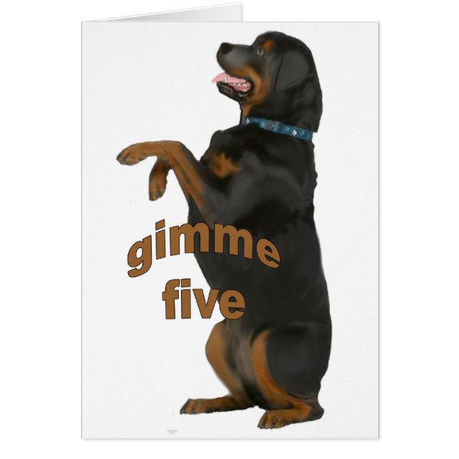 mendicité_rottweiler (Devant)