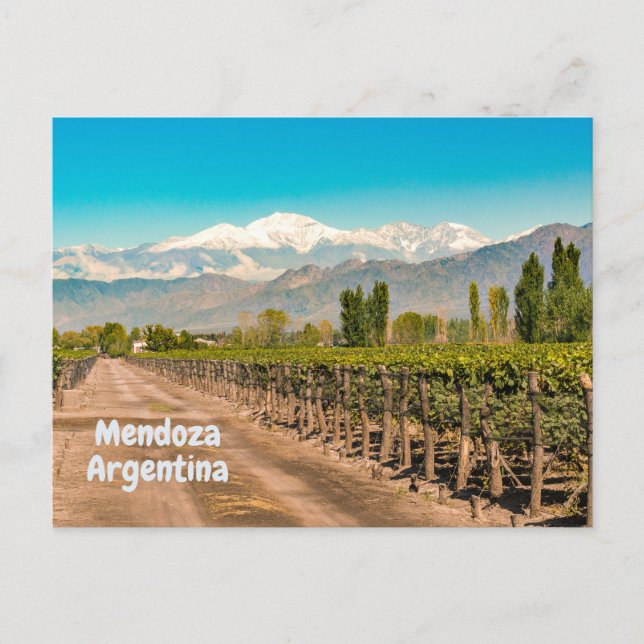 Mendoza, Argentine Winery, Mountains  Postcard (Front)