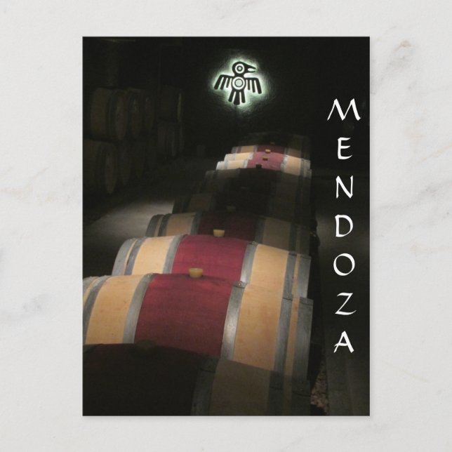 mendoza barrels argentina postcard (Front)