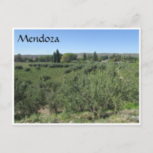 mendoza green hills postcard