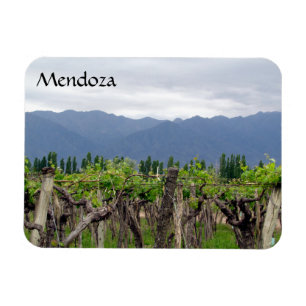 mendoza vines magnet