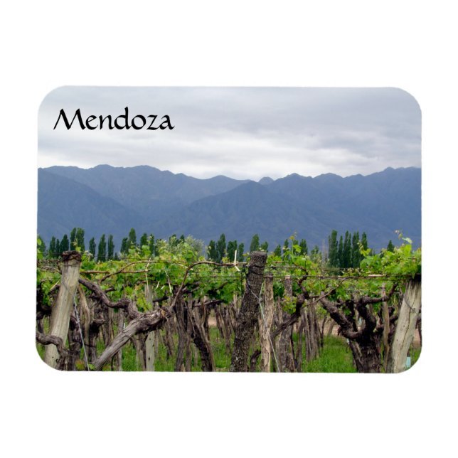 mendoza vines magnet (Horizontal)