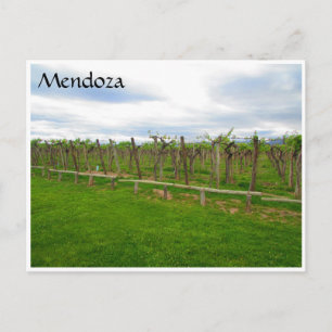mendoza winery grapes postcard