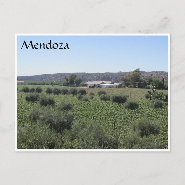 mendoza winery green postcard (Front)