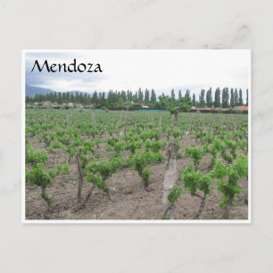 mendoza winery postcard