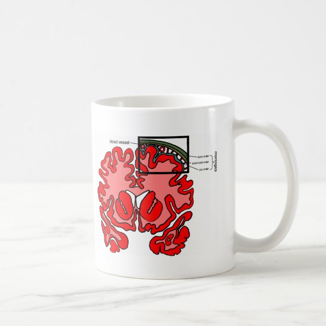 Meninges Coffee Mug (Right)