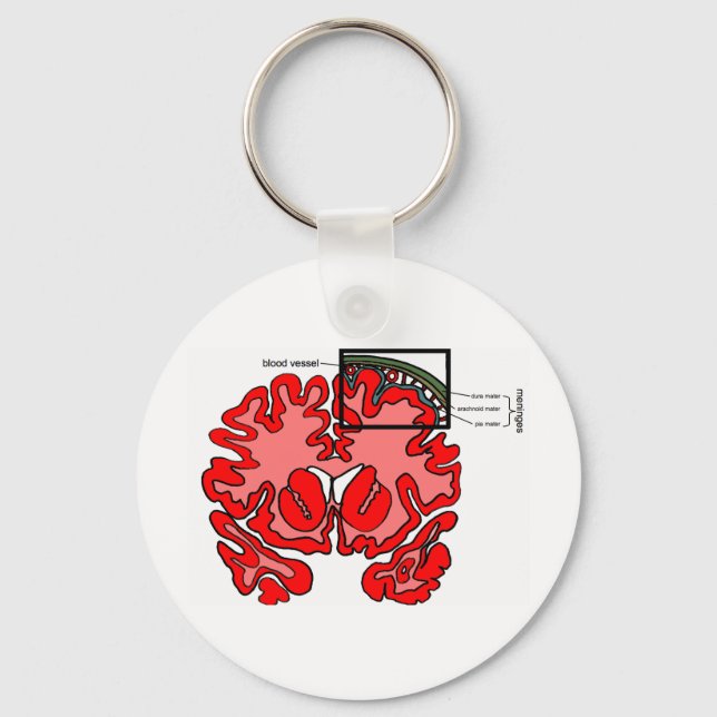 Meninges Keychain (Front)
