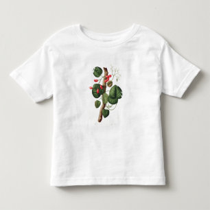 Menispermum from 'Phytographie Medicale' by Joseph Toddler T-shirt