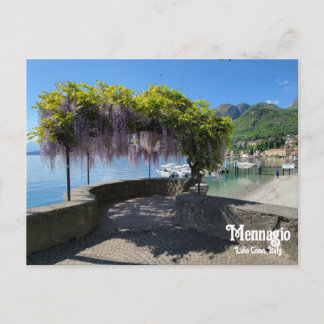 Mennagio Wisteria Postcard