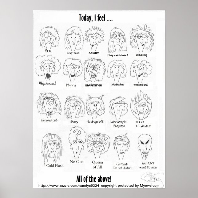 Menopause Moods Poster (Front)