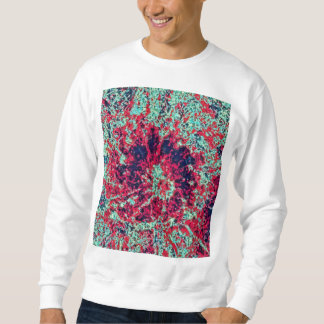 Men's Basic Sweatshirt