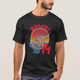Mens Boy 14Th Birthday I Rawr! Stegosaurus I Famil T-Shirt