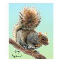 Mens Watercolor Wildlife Gray Squirrel Watch