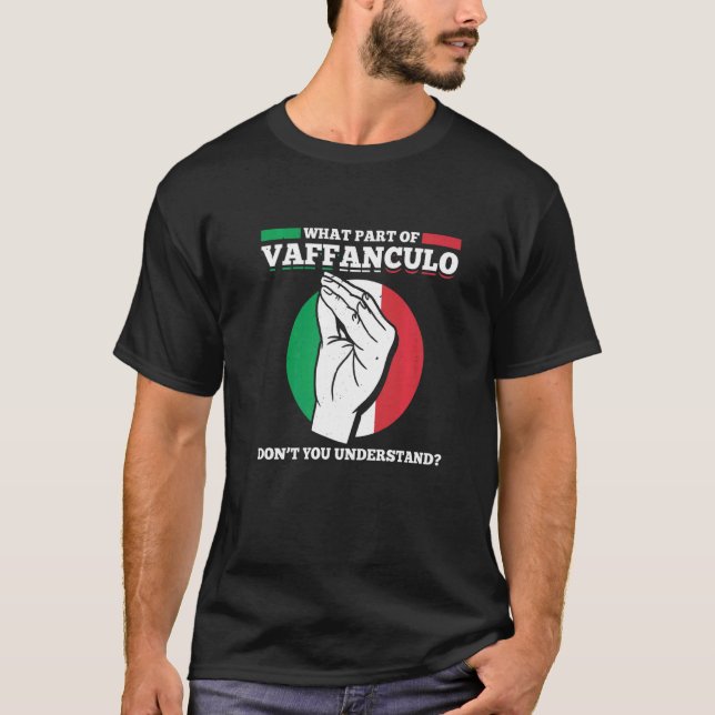 Mens What Part Of Vaffanculo Dont You Understand I T-Shirt (Front)