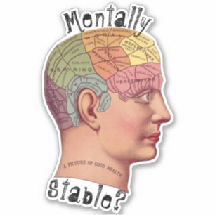 Mentally Stable Contoured Sticker