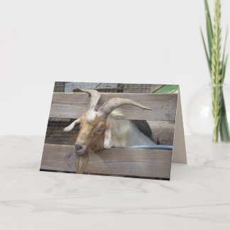 Mention de chèvre mignonne pour une carte de voeux