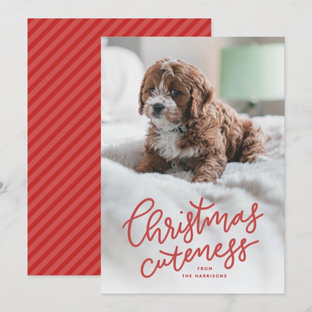 Mention de Noël jolie carte de vacances pour anima (Devant / Derrière)