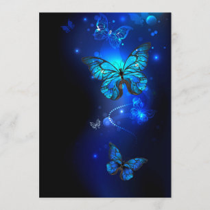 Menu Morpho Butterfly in the Dark Background