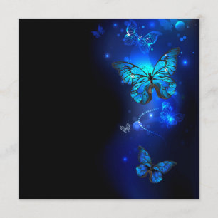Menu Morpho Butterfly in the Dark Background