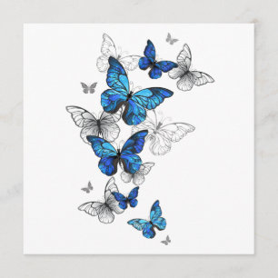 Menu Papillons volants bleus Morpho