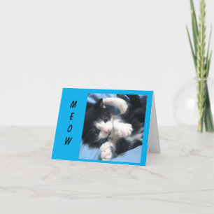 **MEOW AND WOW** SAYS THIS KITTY "60th BIRTHDAY" Card