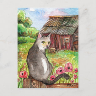 Meow at the Barn Postcard