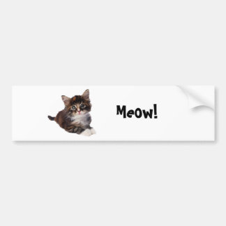 Meow! Bumper Sticker