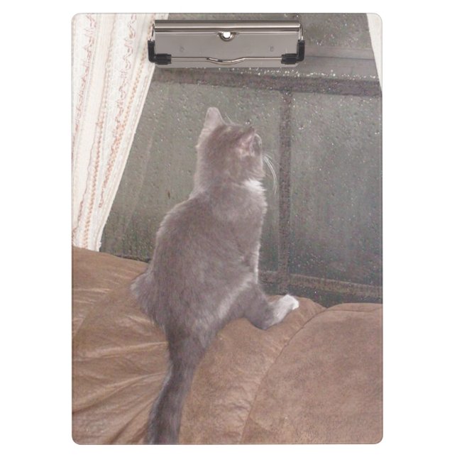 Meow Cats 11 Clipboard (Front)