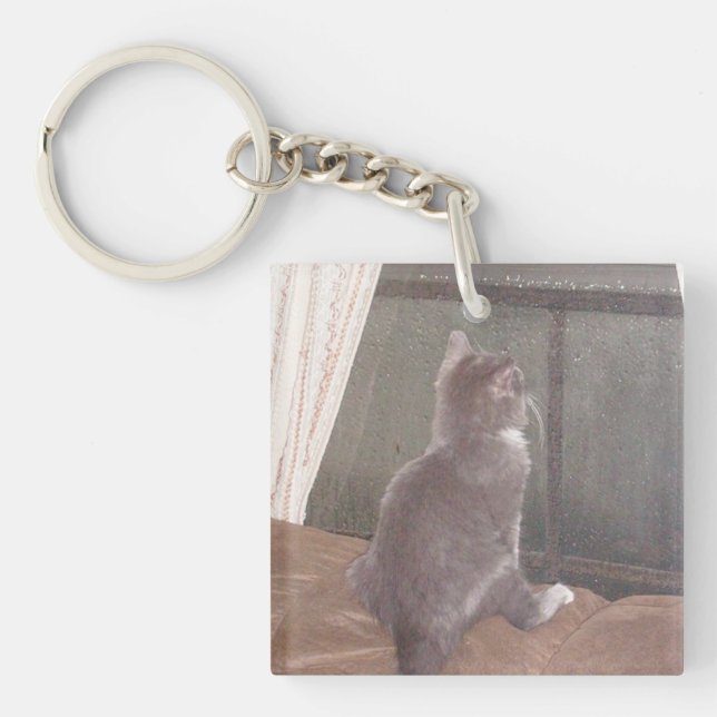 Meow Cats 11 Double Sided Acrylic Key Chain (Front)